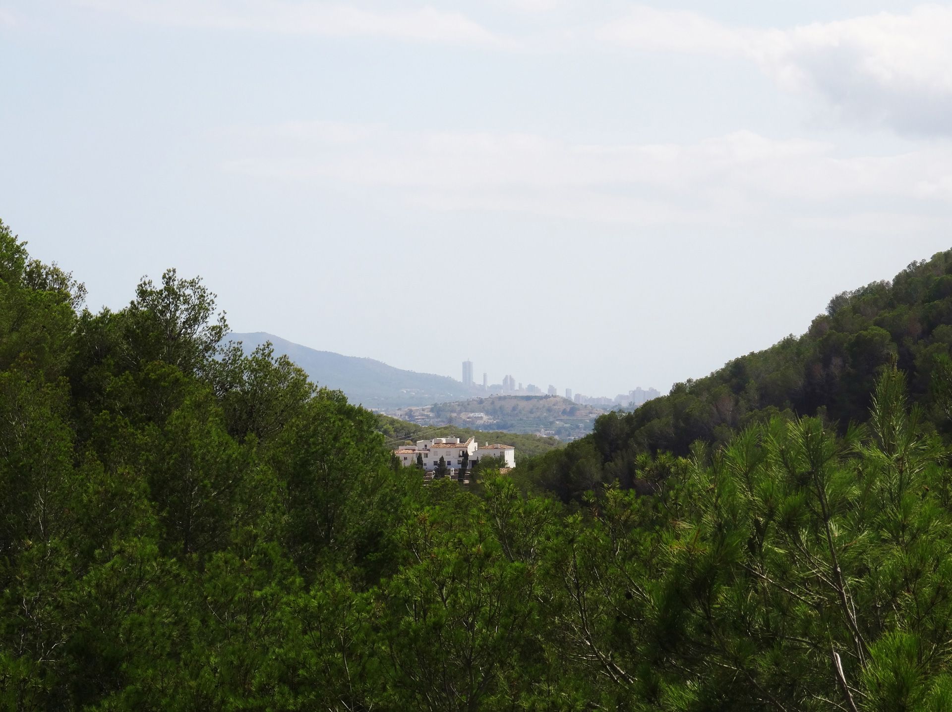<b>View from the Terrace on Benidorm skyline</b>